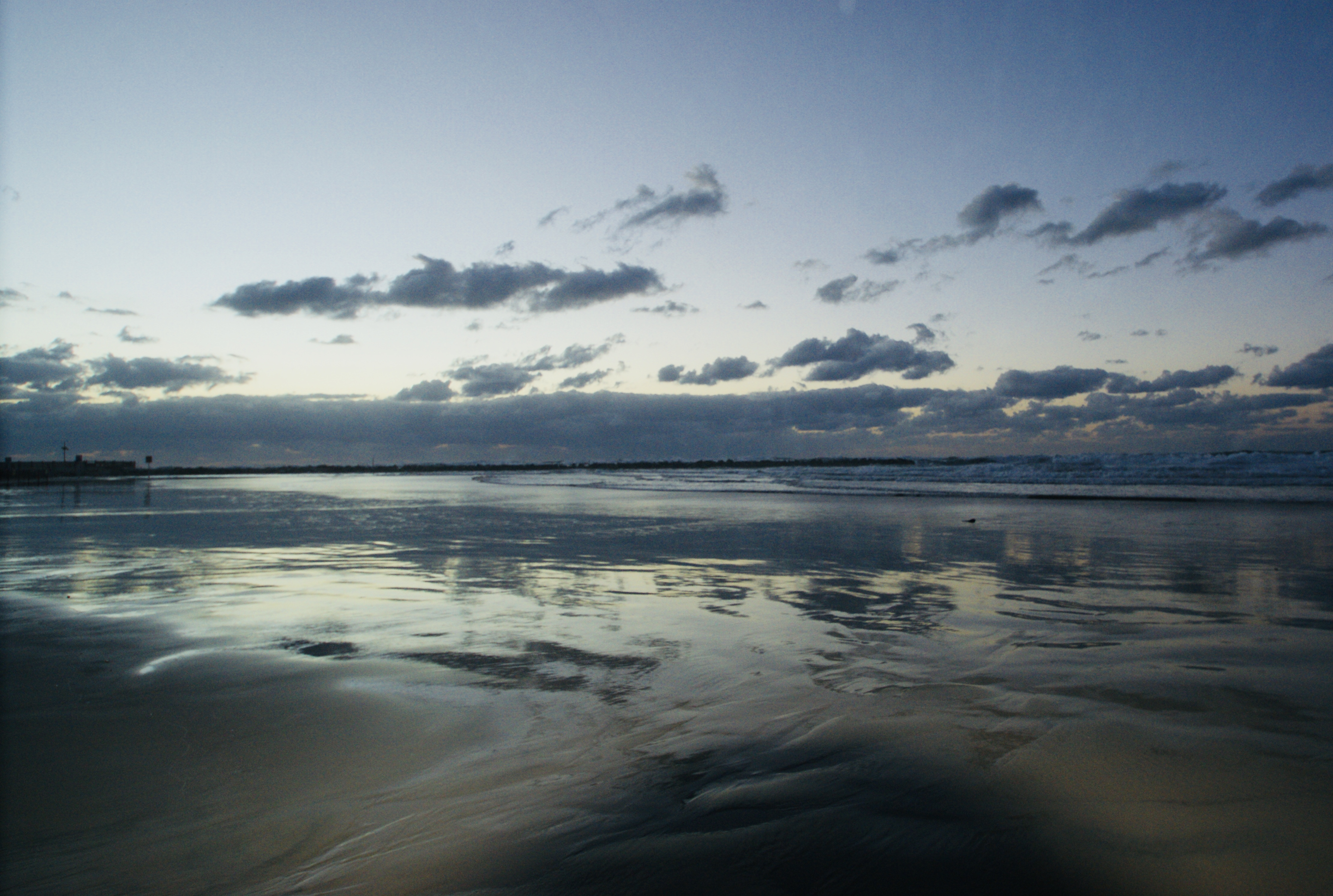 SONY DSC